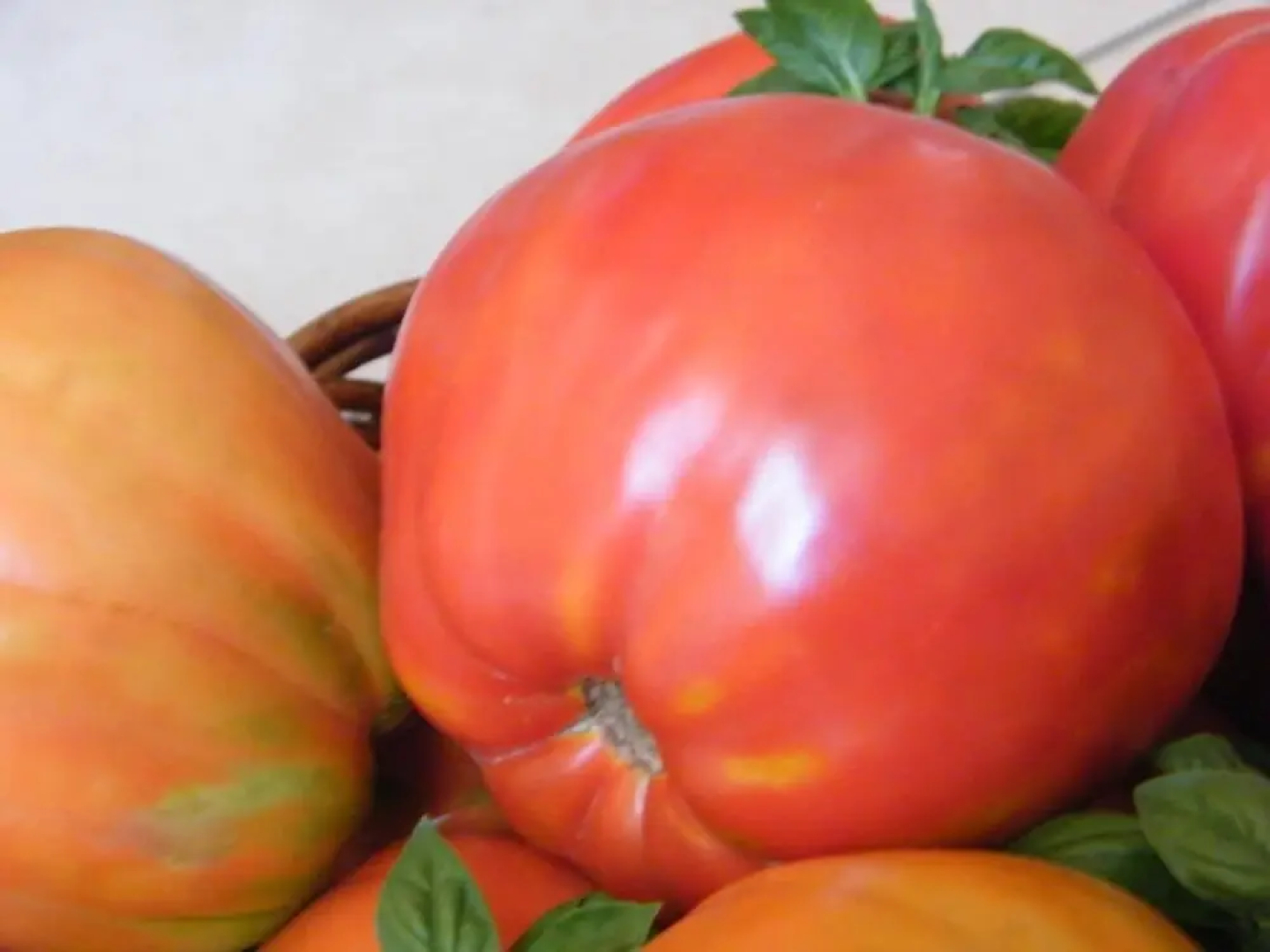 Agriturismo La Vecchia Fontana