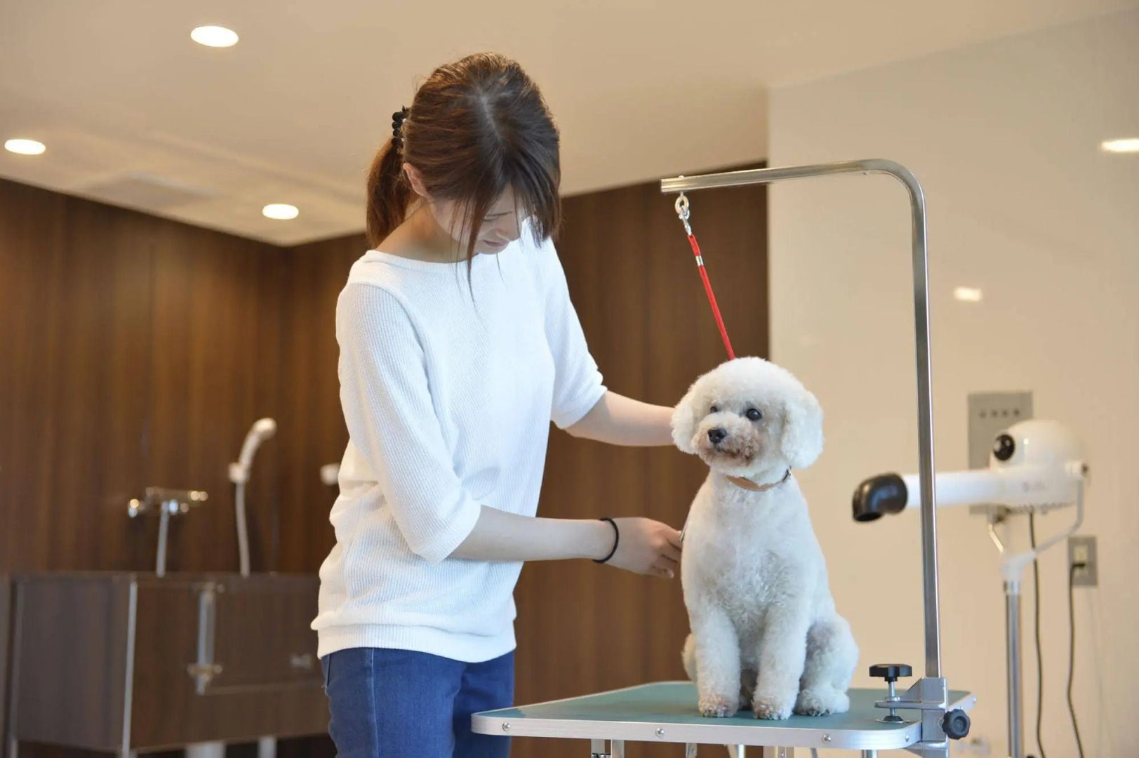 Izumigo Toba Dog Paradise Hotel