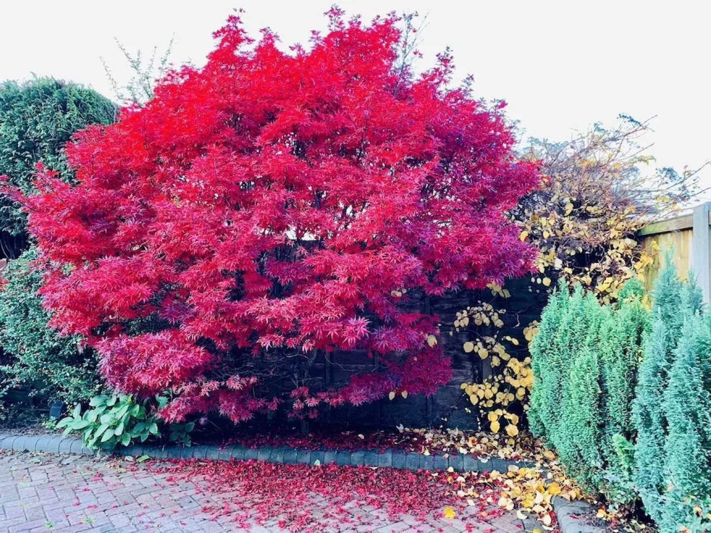 Ideal for Alton Towers, Staffordshire and The Peak District