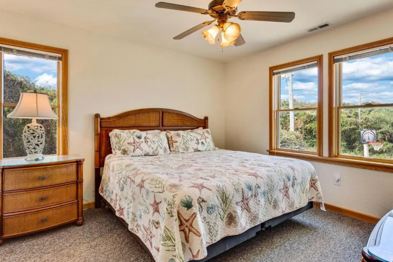 3068 - Carolina Sunshine