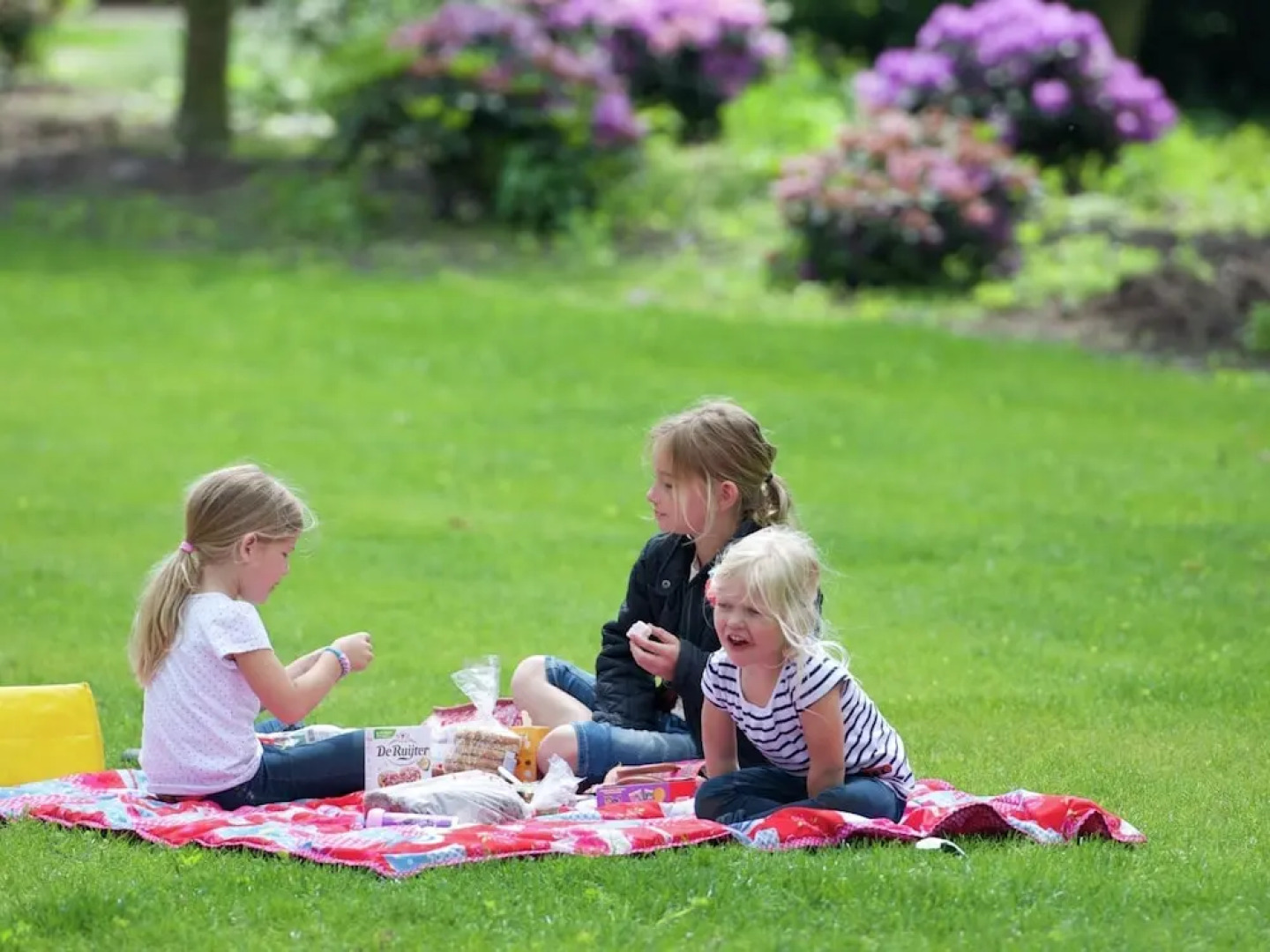Apartment in Netherlands Near Scenic Canals