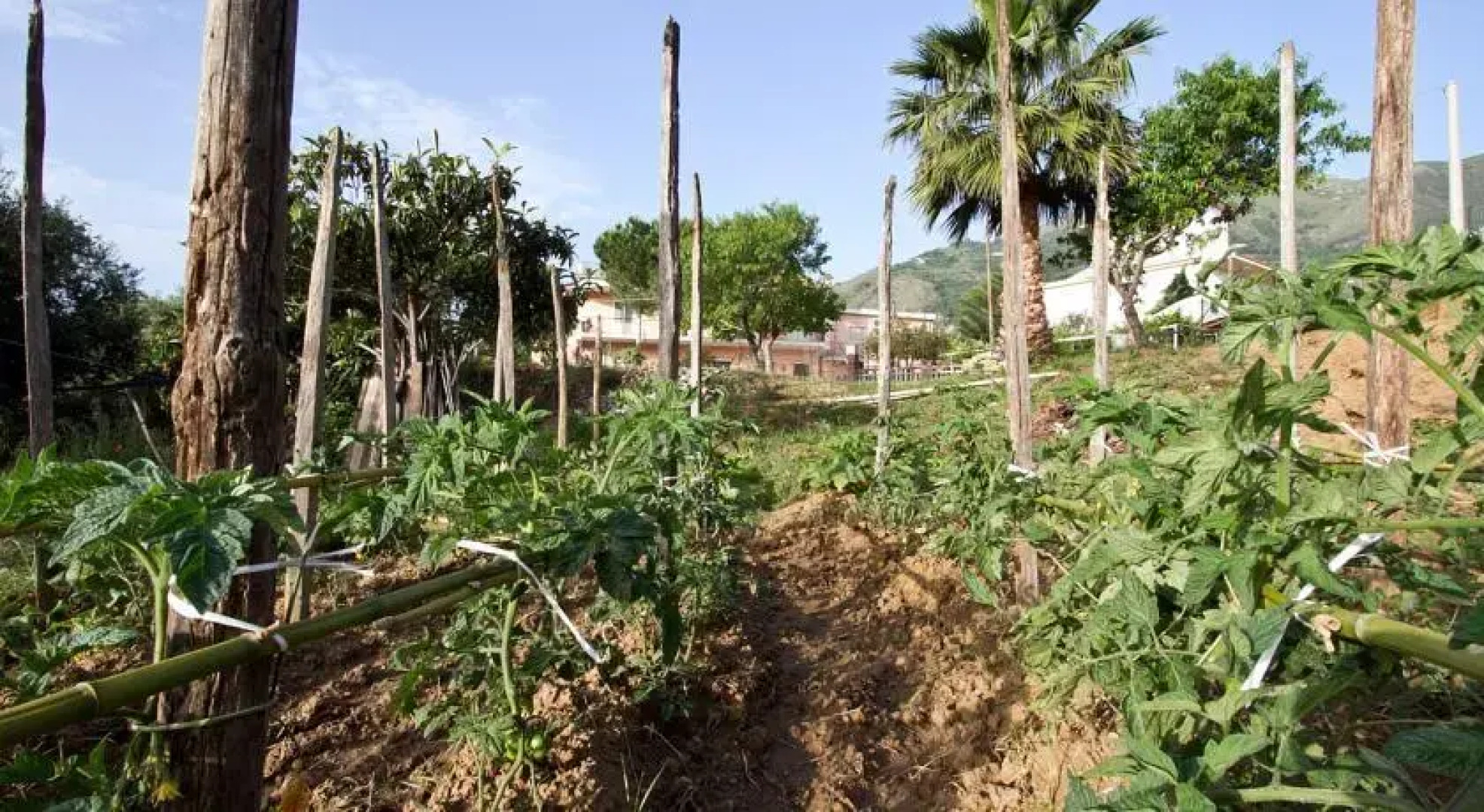 Trattoria Torretta Da Filippo
