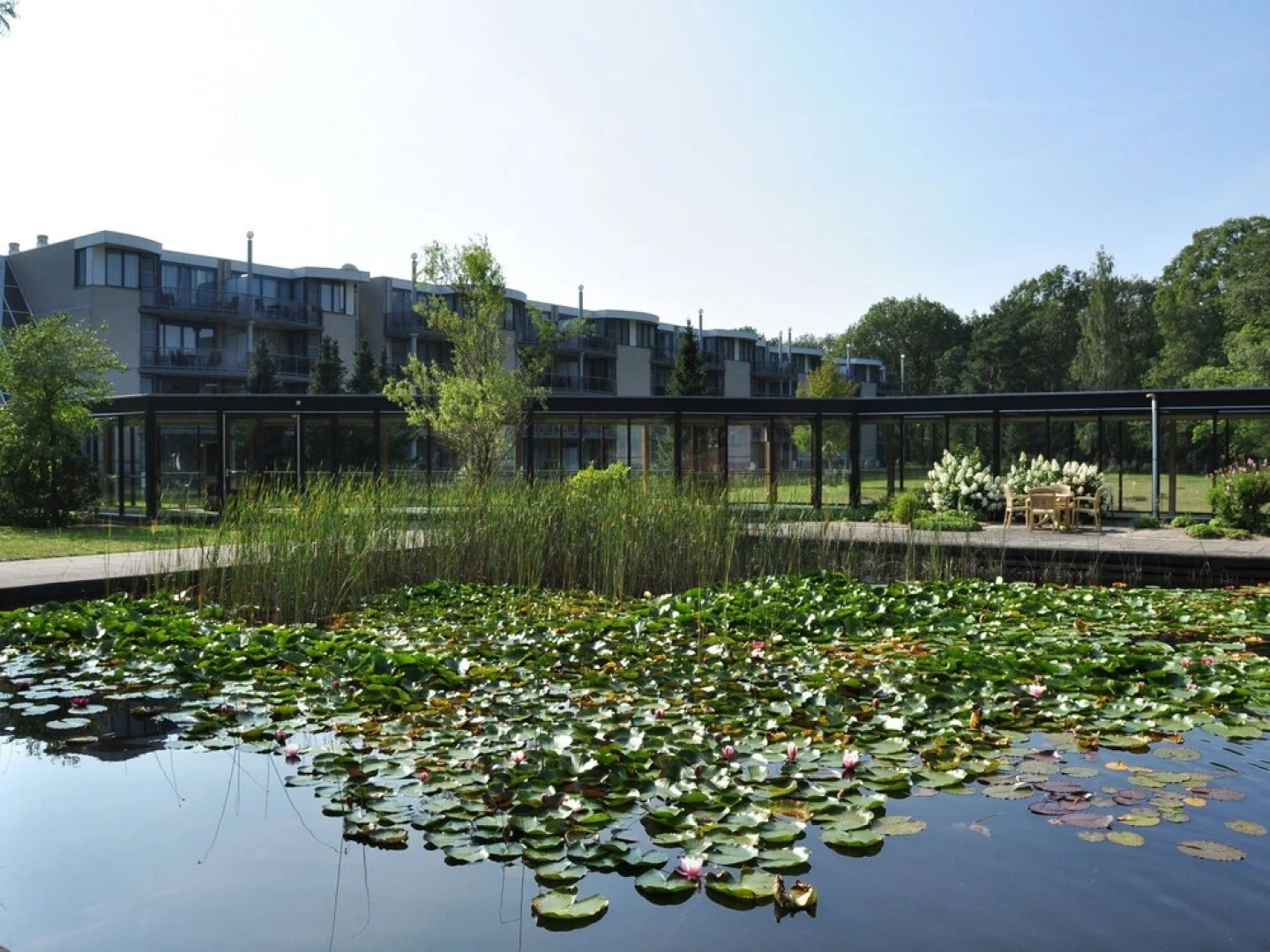 Comfortable Apartment With Adishwasher, in Twente