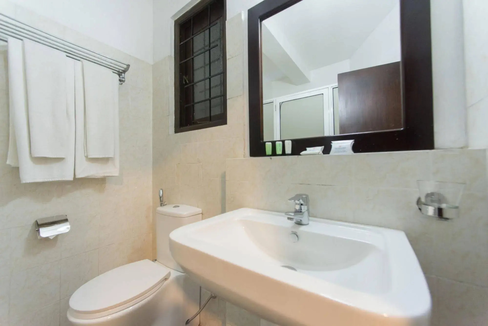 Palms, Mount Lavinia