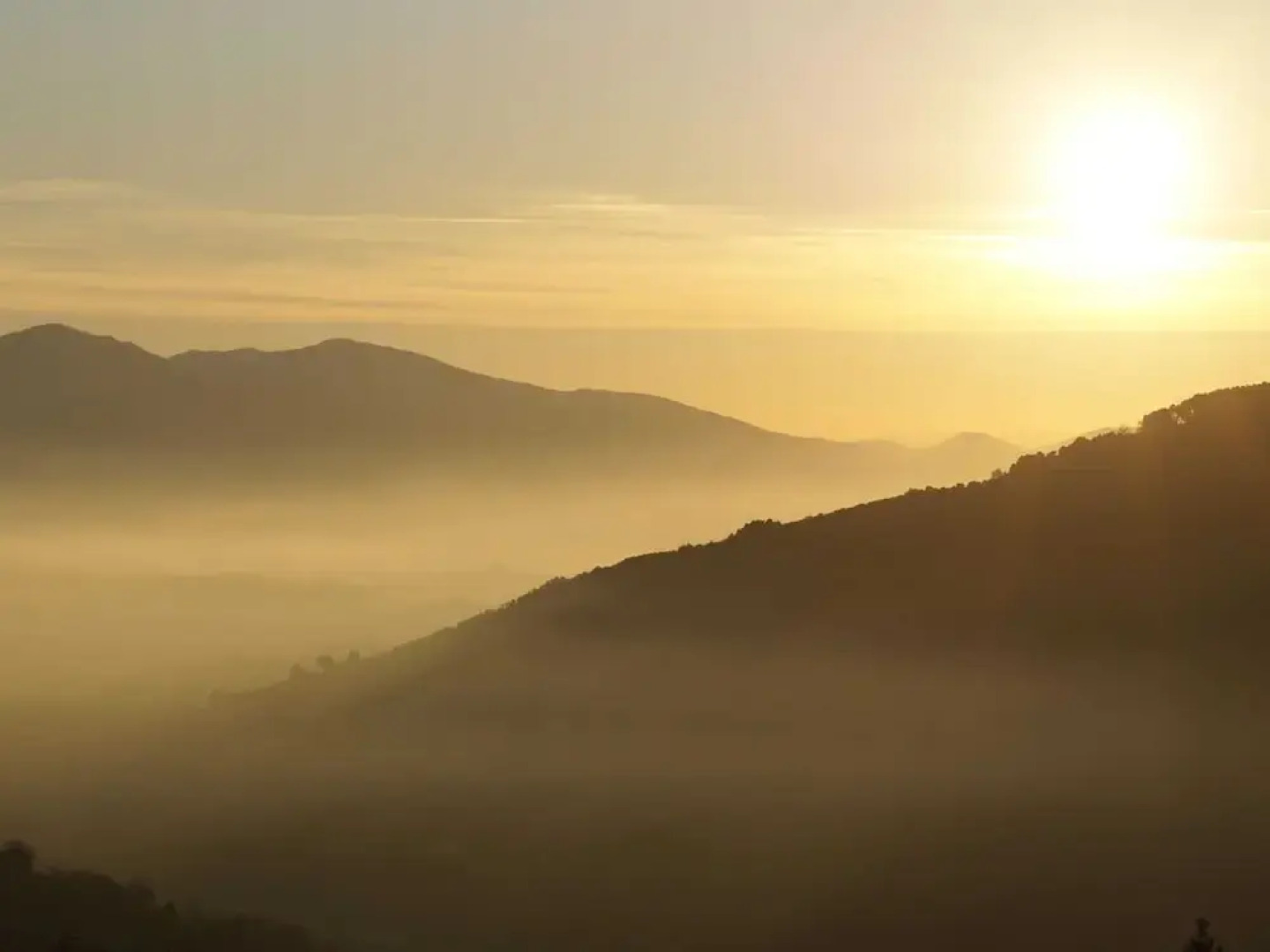 Spectacular Holiday Home in Pescia With Swimming Pool