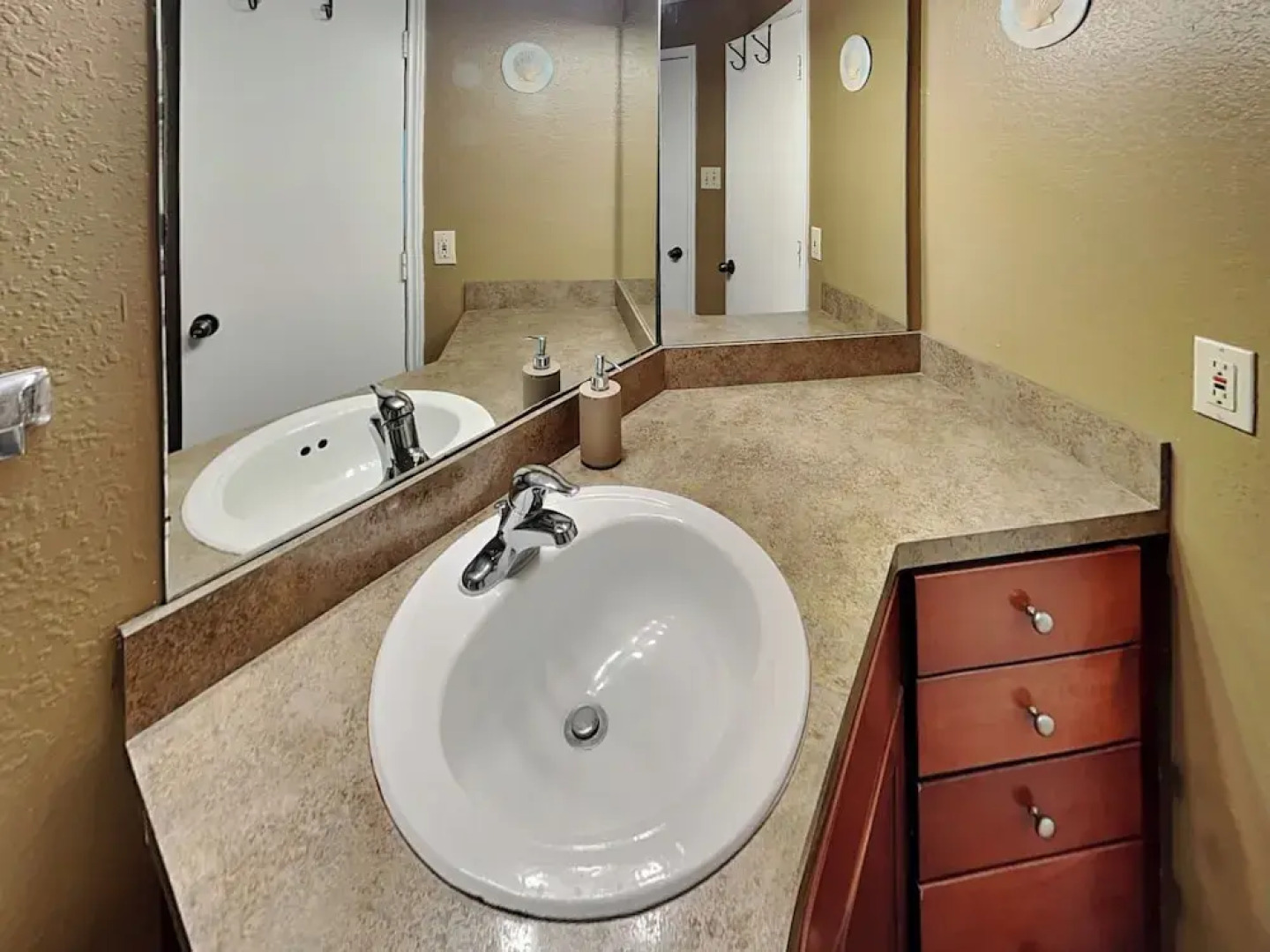 Npi146-the Lazy Turtle