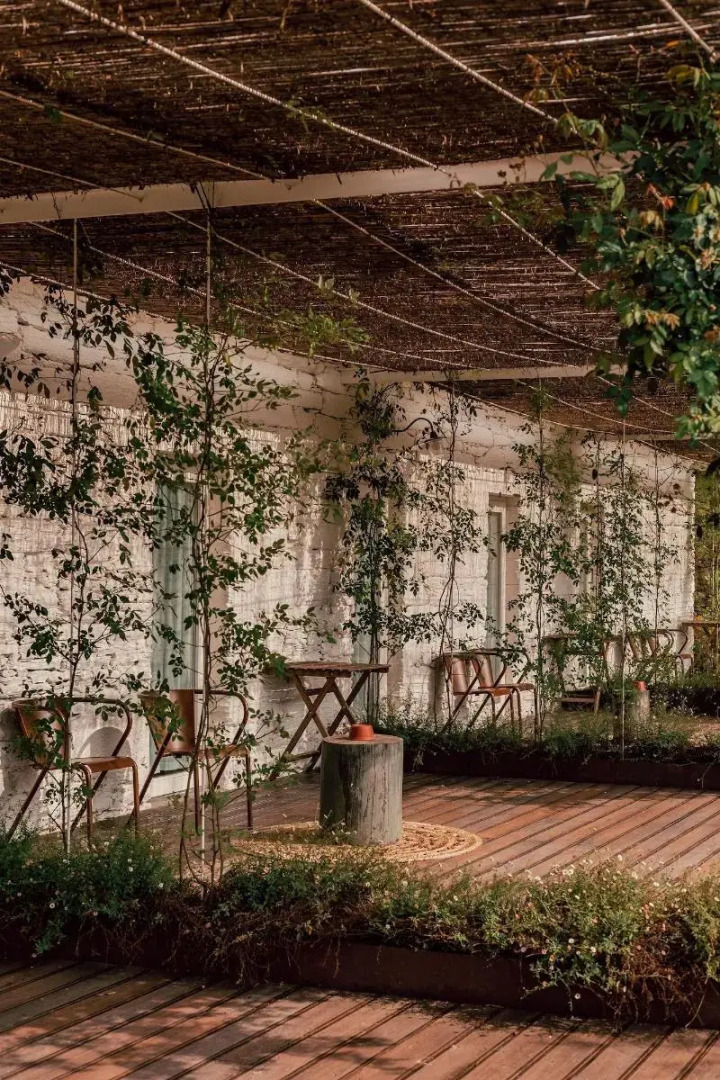 Ventozelo Hotel & Quinta