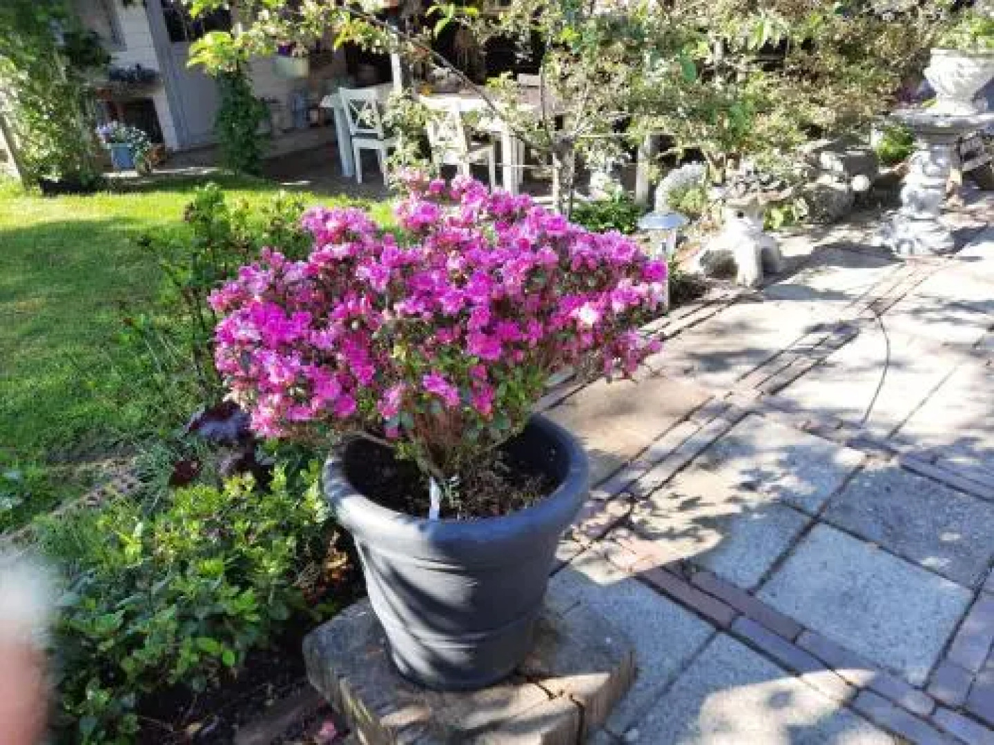 Anneke's Bed en Botterhammeke