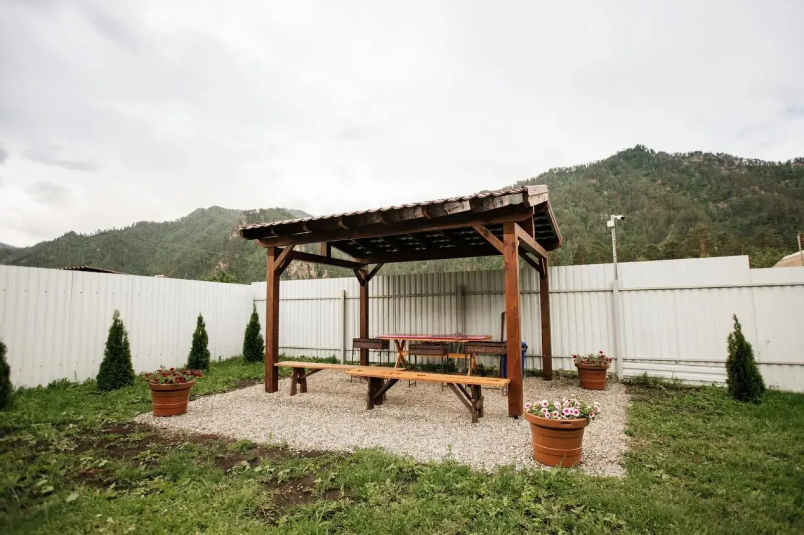 Медведь и Ягодка