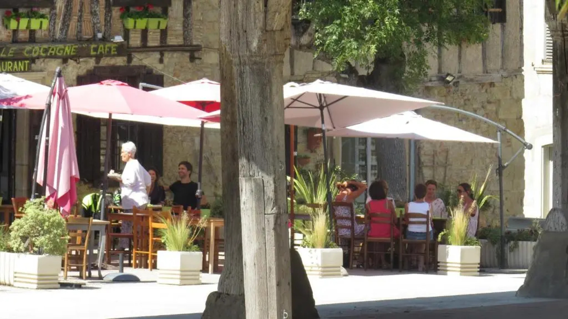 Nature's Pace Holidays