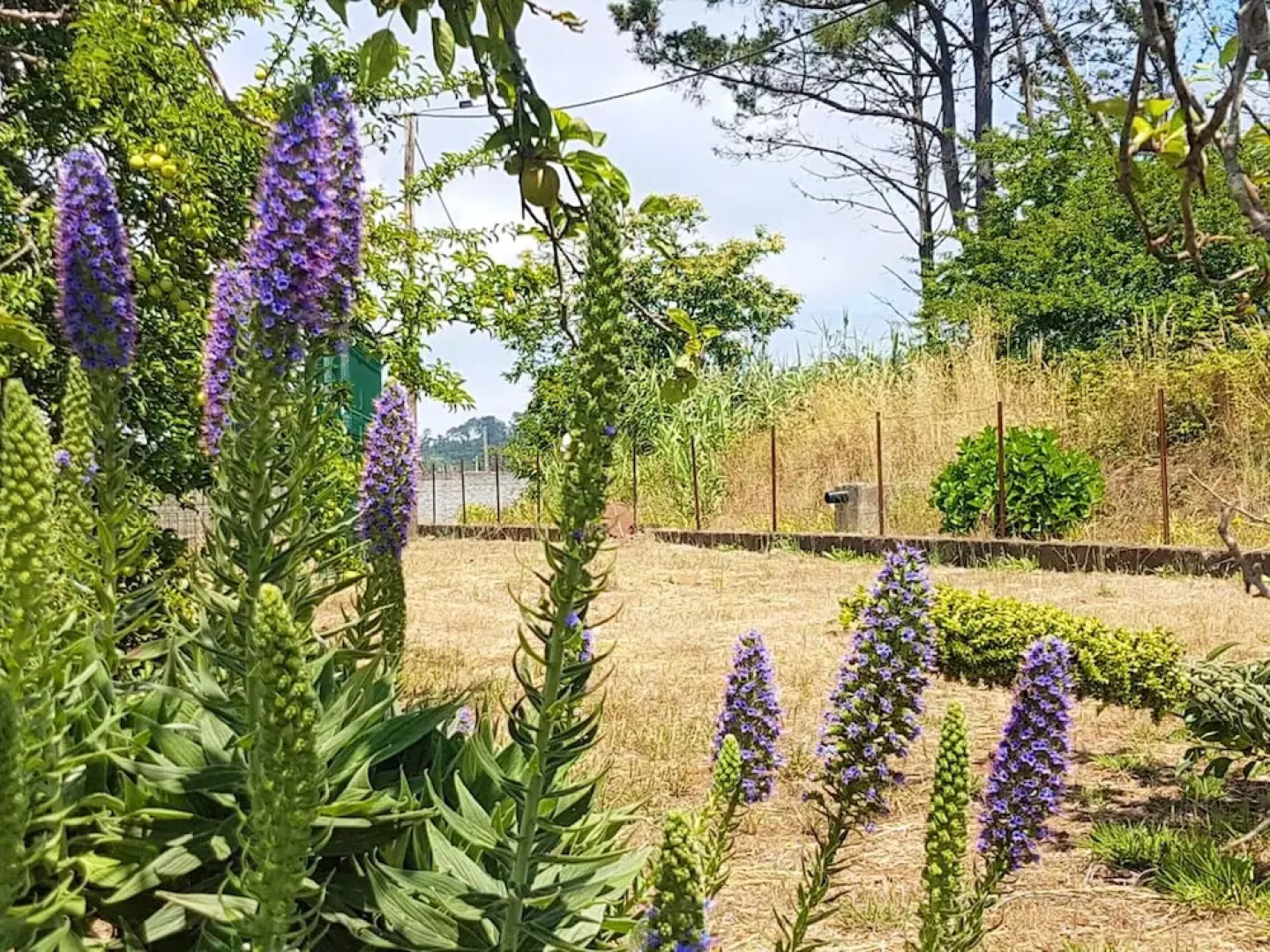 Apartment With 2 Bedrooms in Campanario, With Shared Pool, Enclosed Garden and Wifi Near the Beach