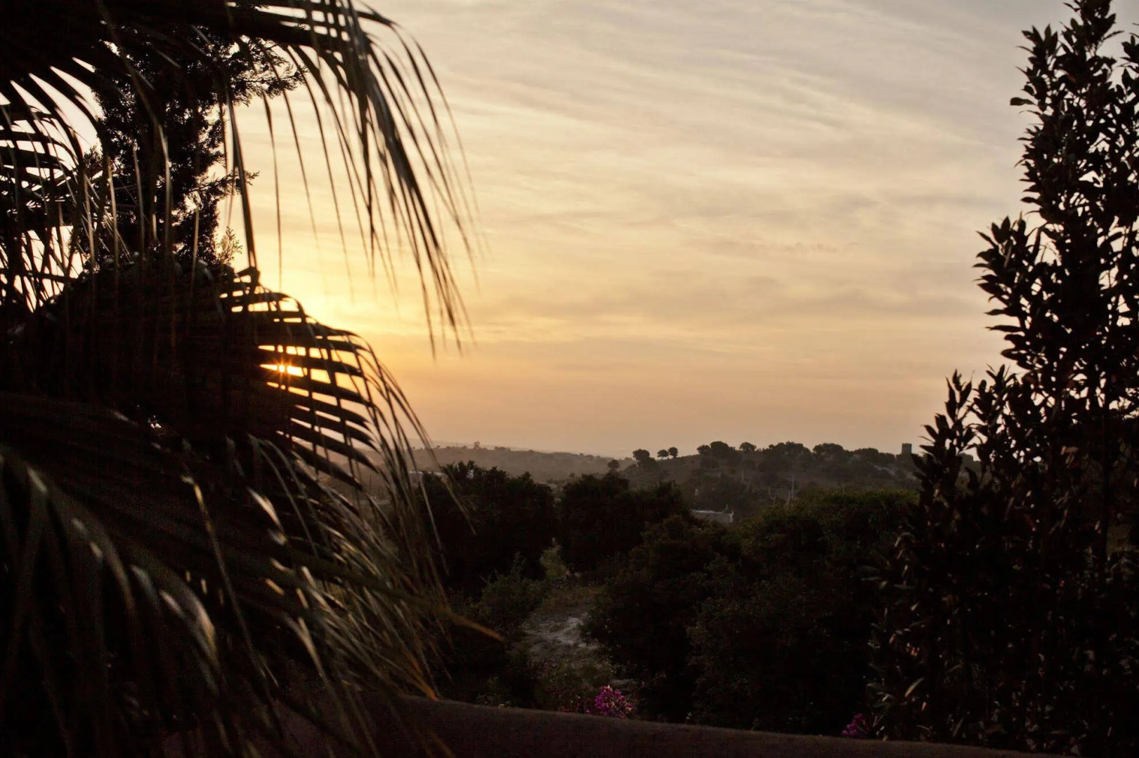 Le Jardin Des Douars