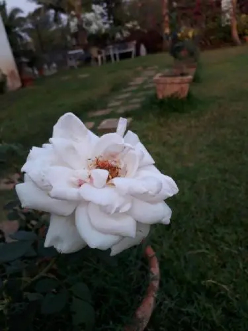 Blue Waters Resort Lonavala.