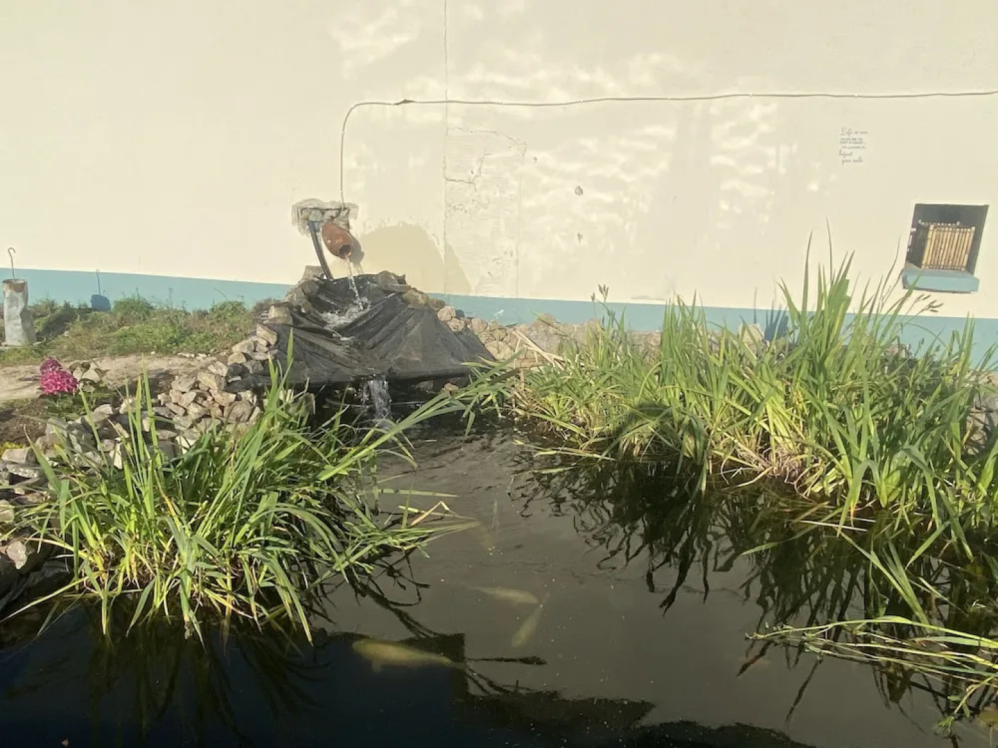 Farm Stay Property Pets and Families Welcome