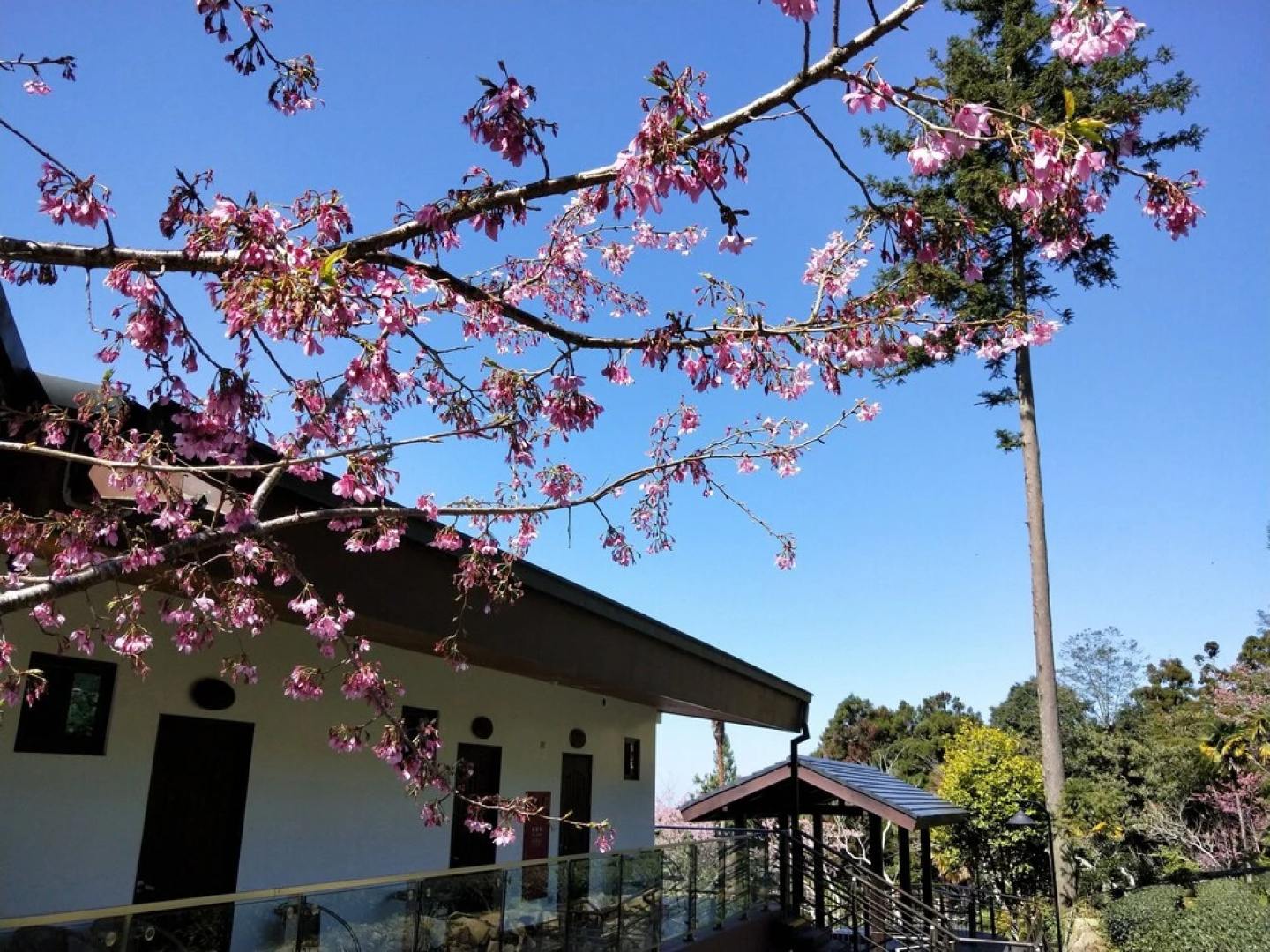 Long Yun Farm