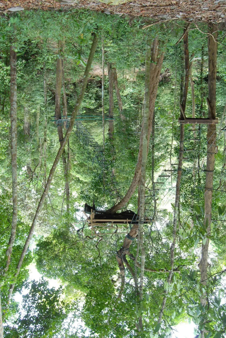 Permai Rainforest Resort