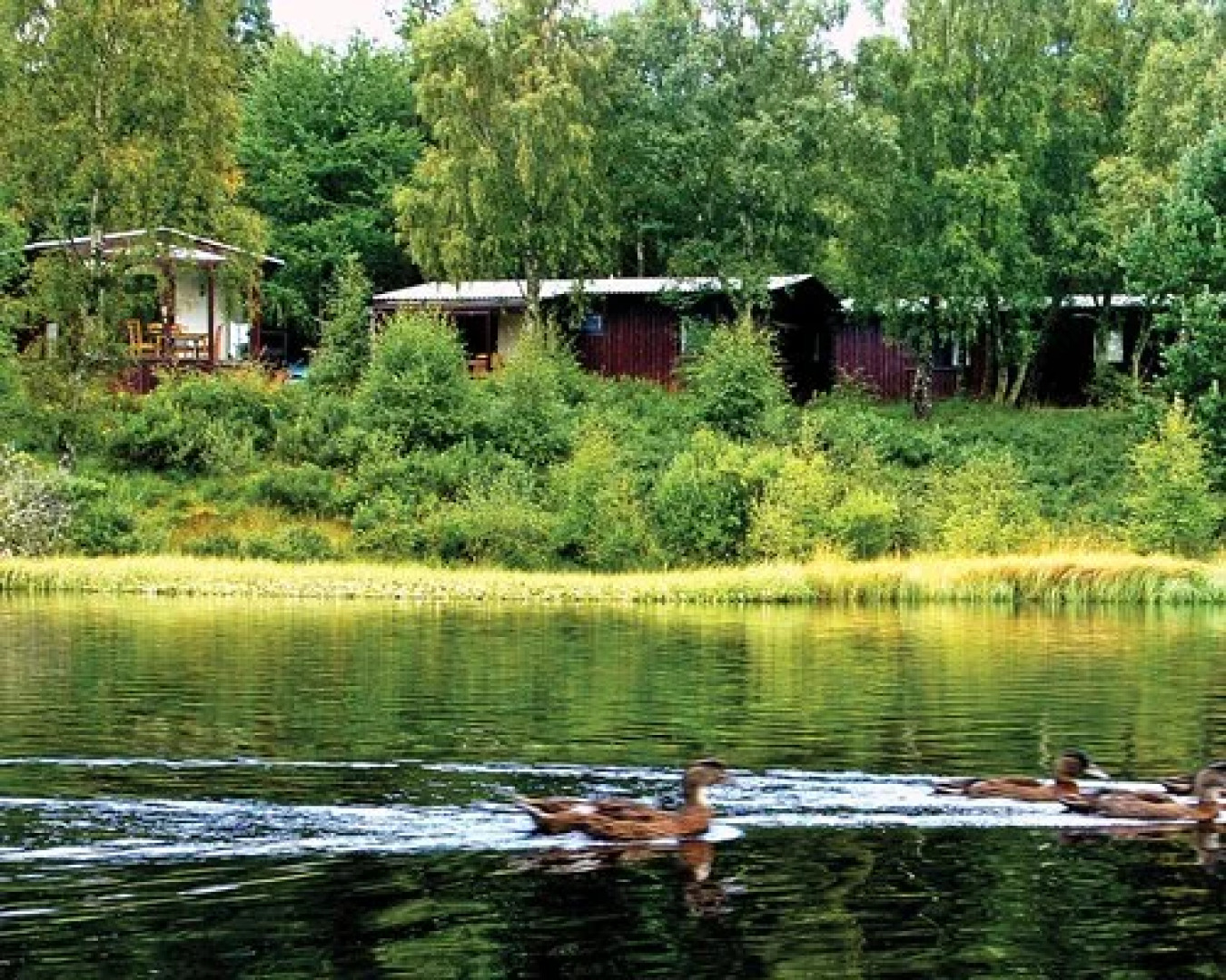 Macdonald Lochanhully - 4 Nights, Inverness-shire, Scotland