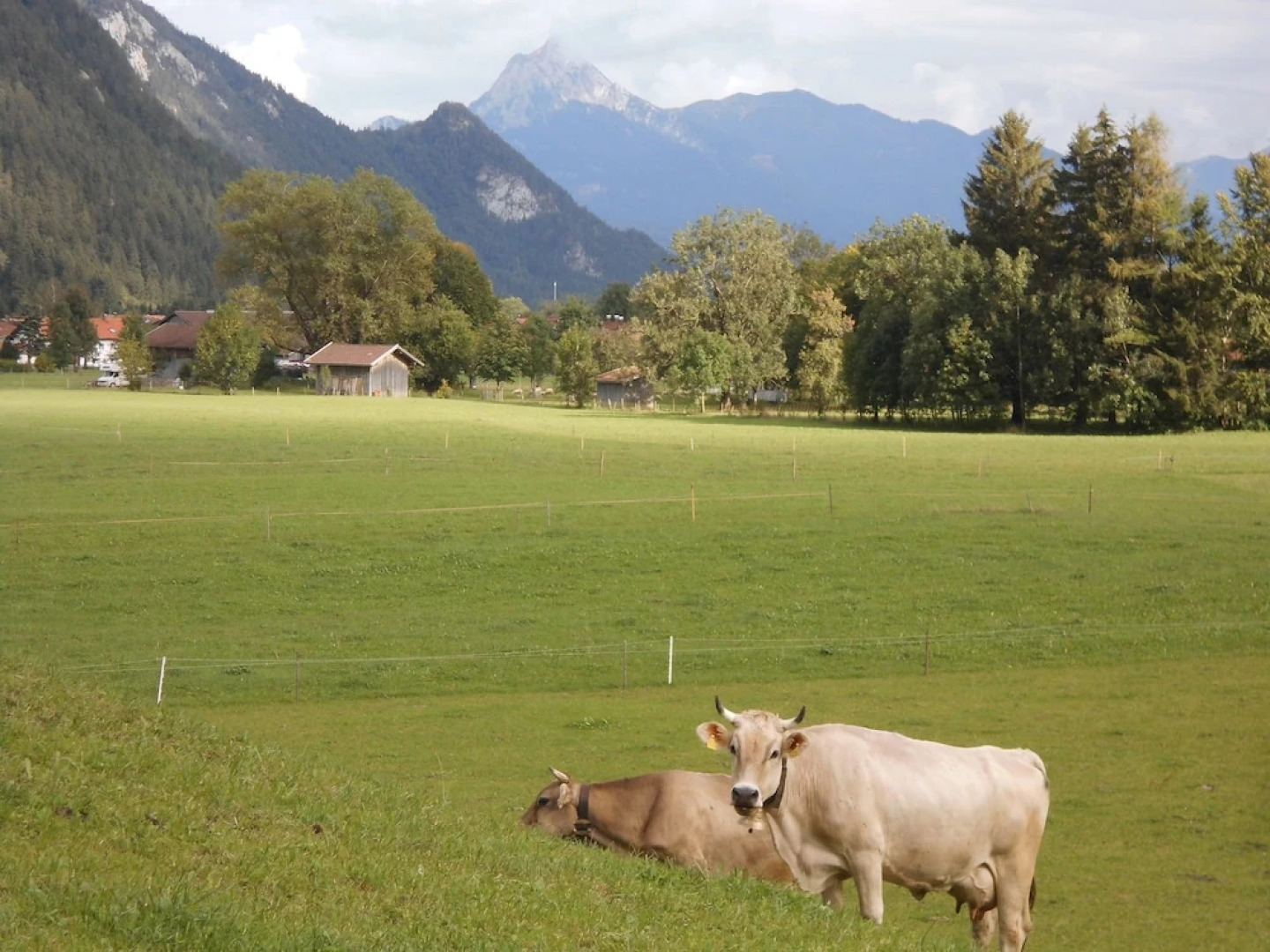 Apart-Hotel Garni Happy Kienberg