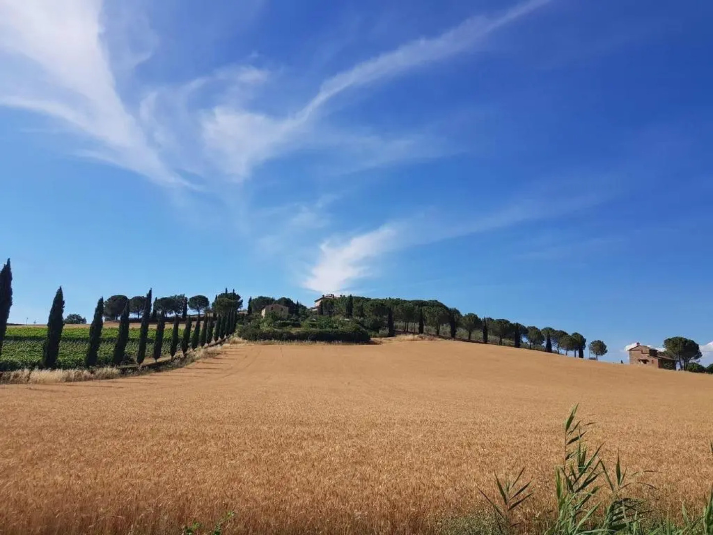 Il Vecchio Seccatoio