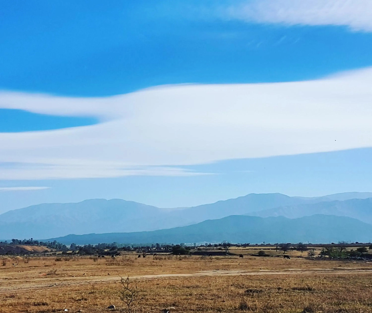 Apartamento Reyes Catolicos