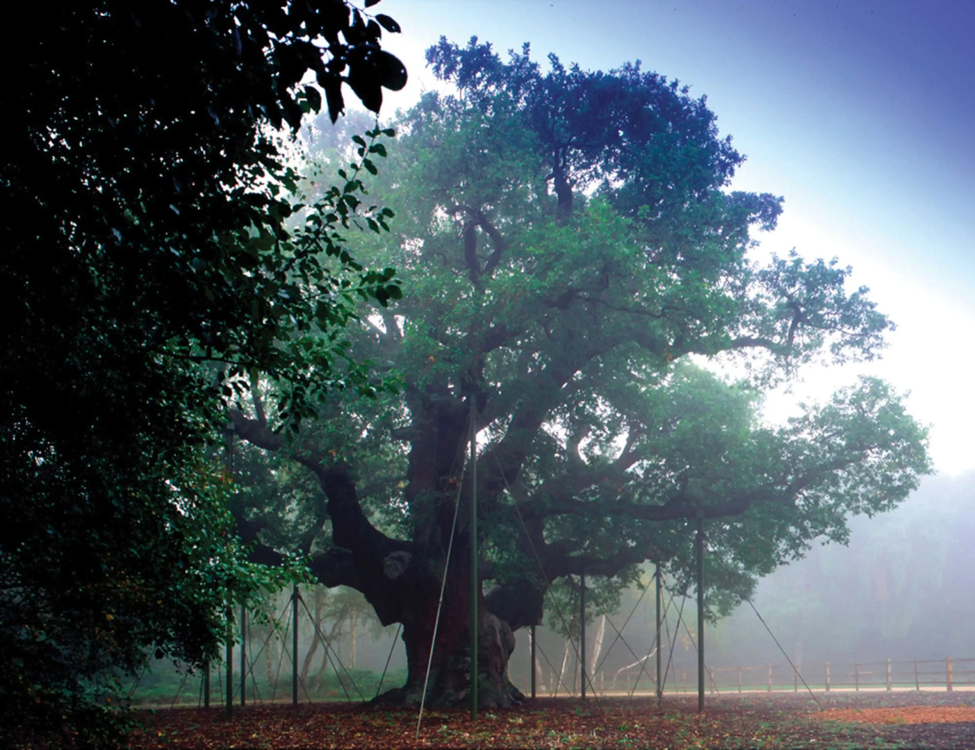 Best Western Plus Nottingham Westminster Hotel