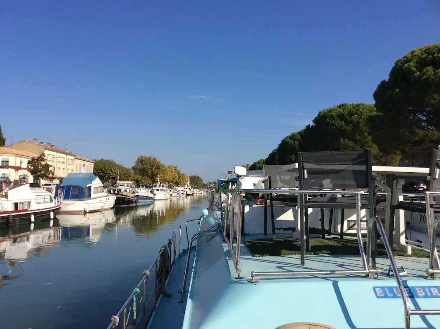 Penichette Oiseau Bleu