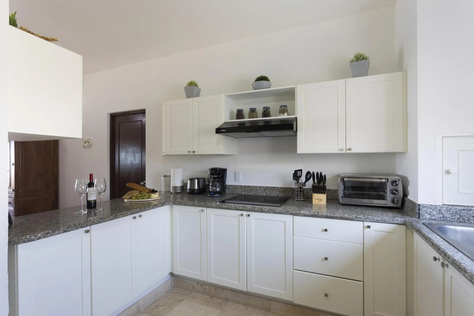 Flamingos Conchas 502