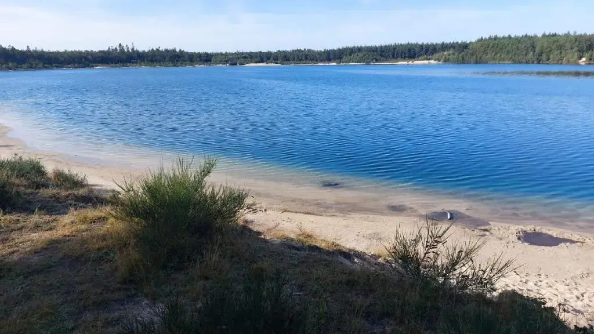 De Lente Van Drenthe