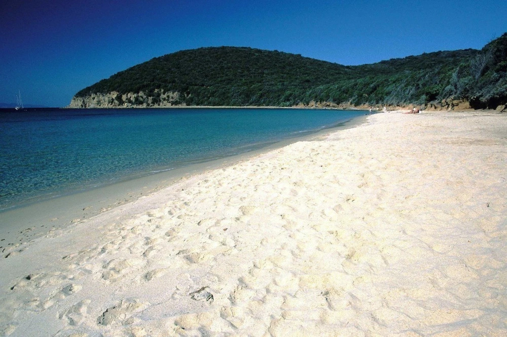 Nautilus B&B Suite Design