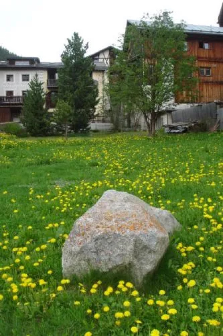 Ferienwohnung Chasa Crusch 117