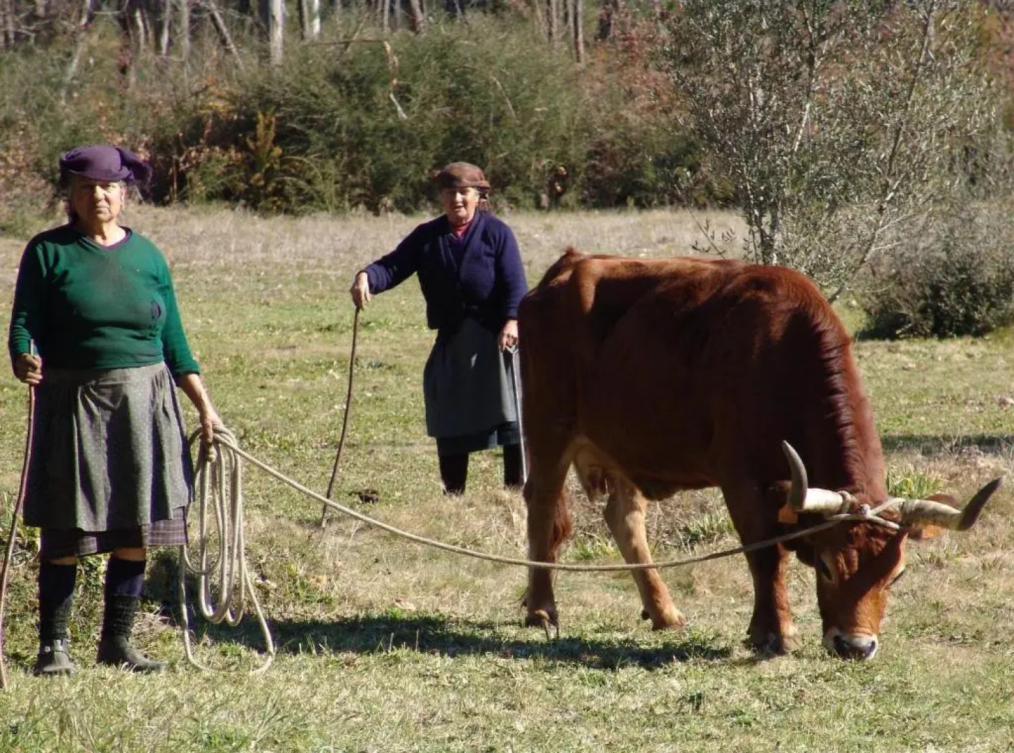 Quinta de Santa Marinha