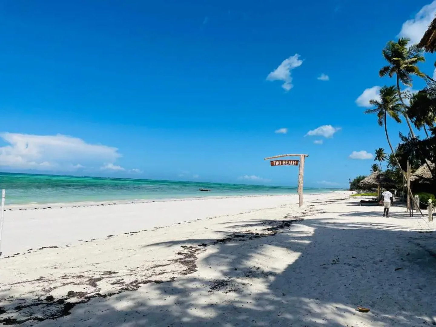 Butterfly Apartment Zanzibar
