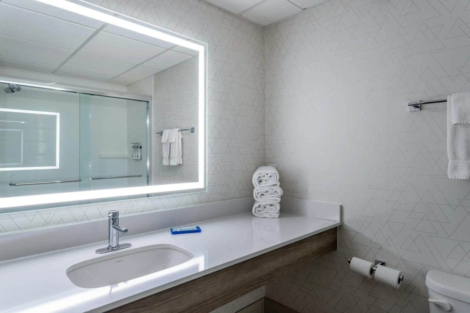 Holiday Inn Express & Suites Vadnais Heights by IHG