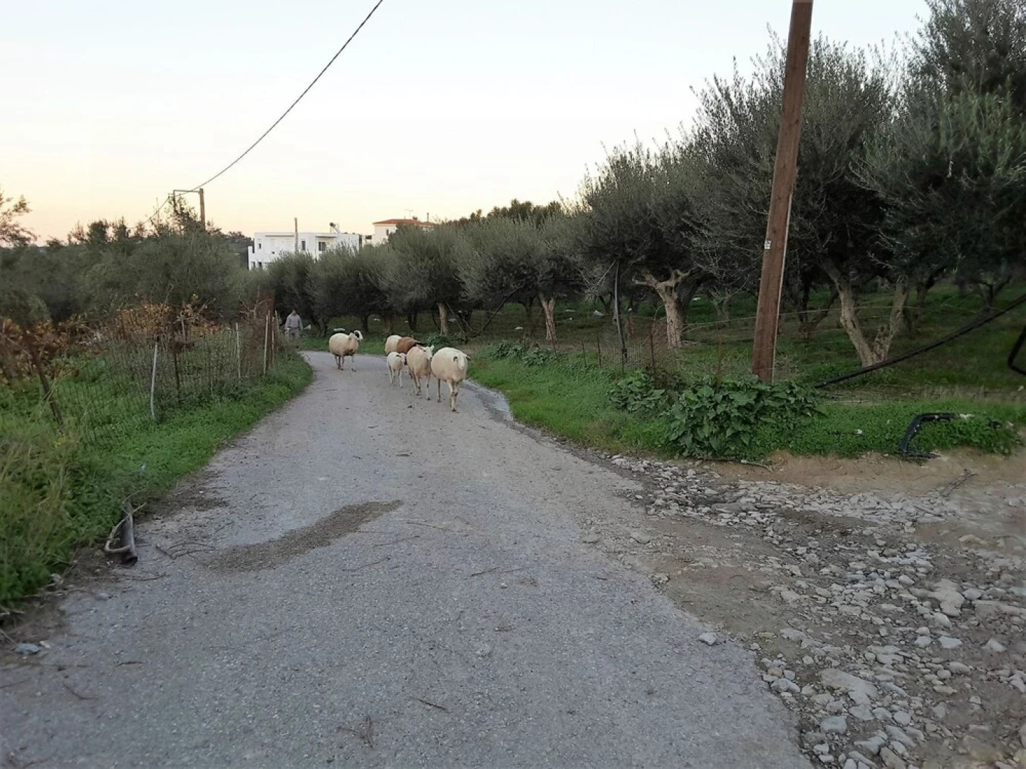 Beautiful Luxury Villa, Private Pool, Privacy, Near Village Loutra on Nw Coast