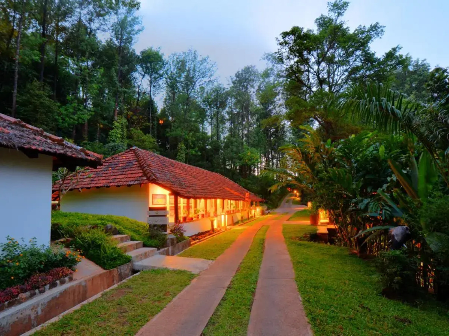 The Tamara Coorg