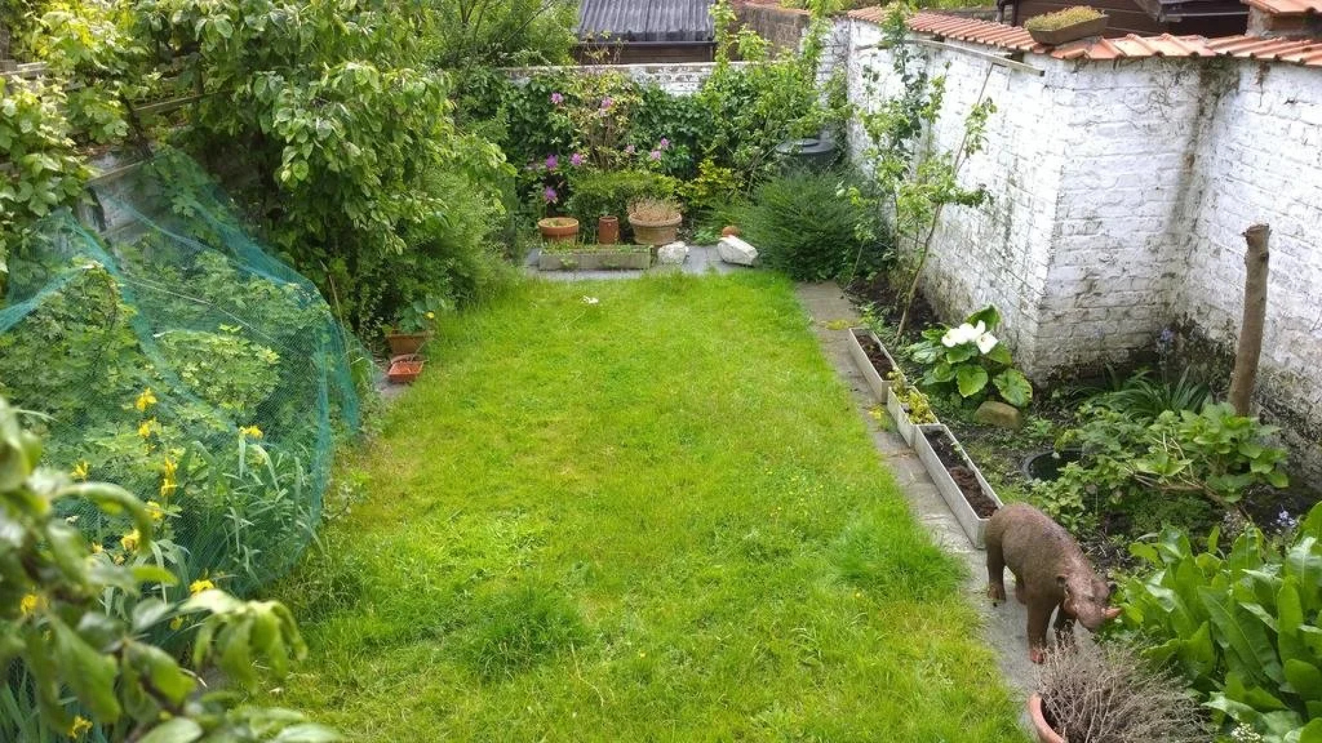 B&B Oostende