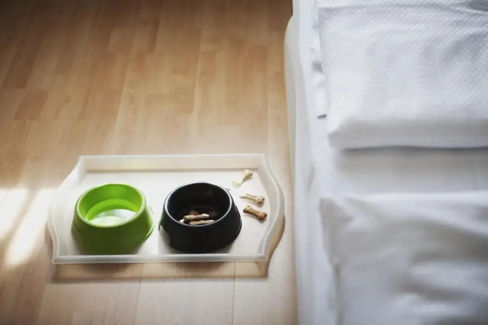 BienVivre Hotel Los Andes