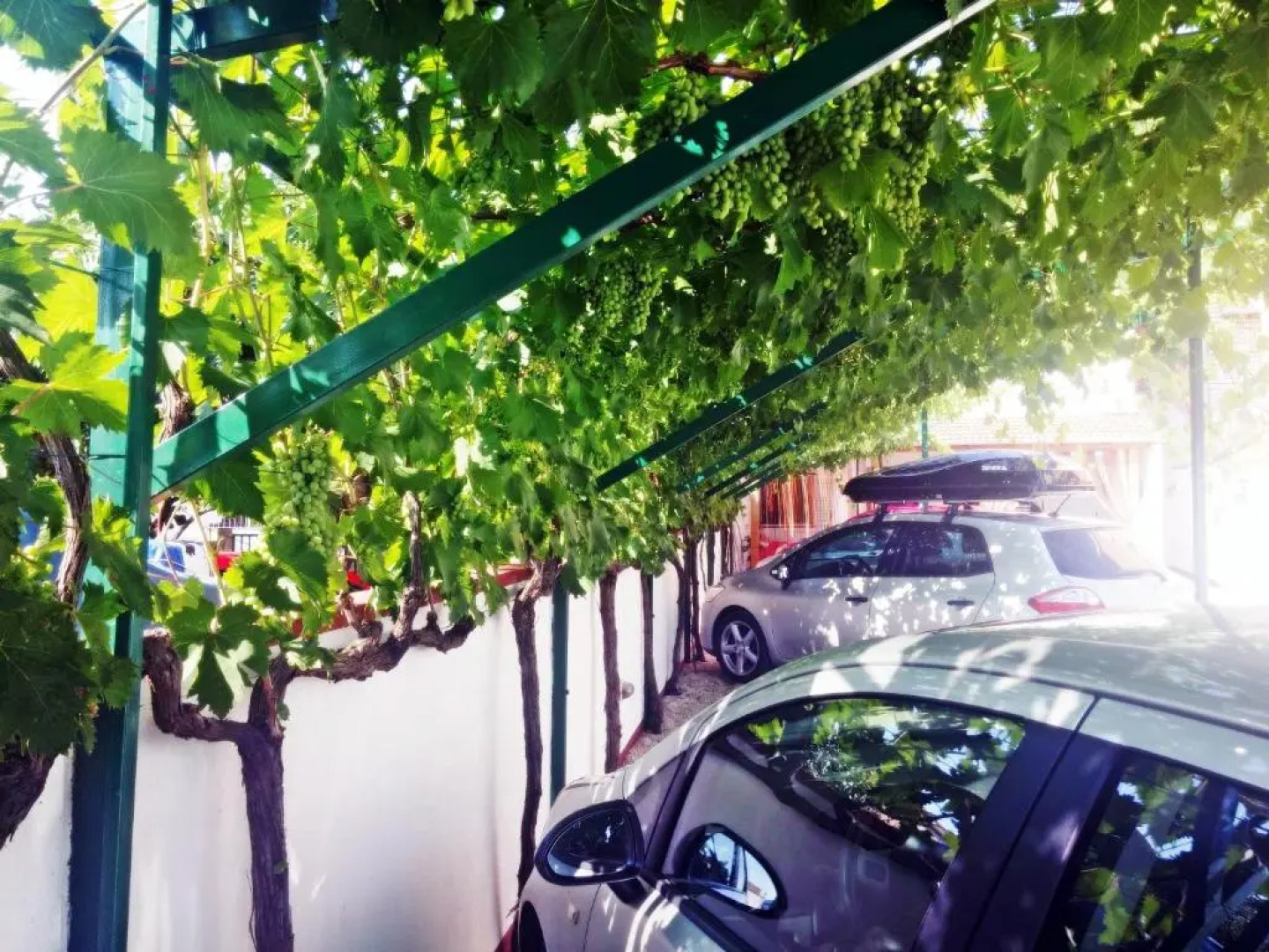 Apartments Eugen Pedisić