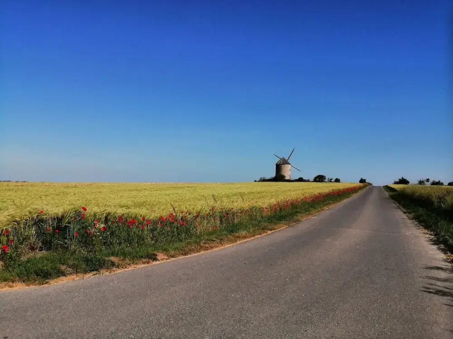 Le petit moulin rouge