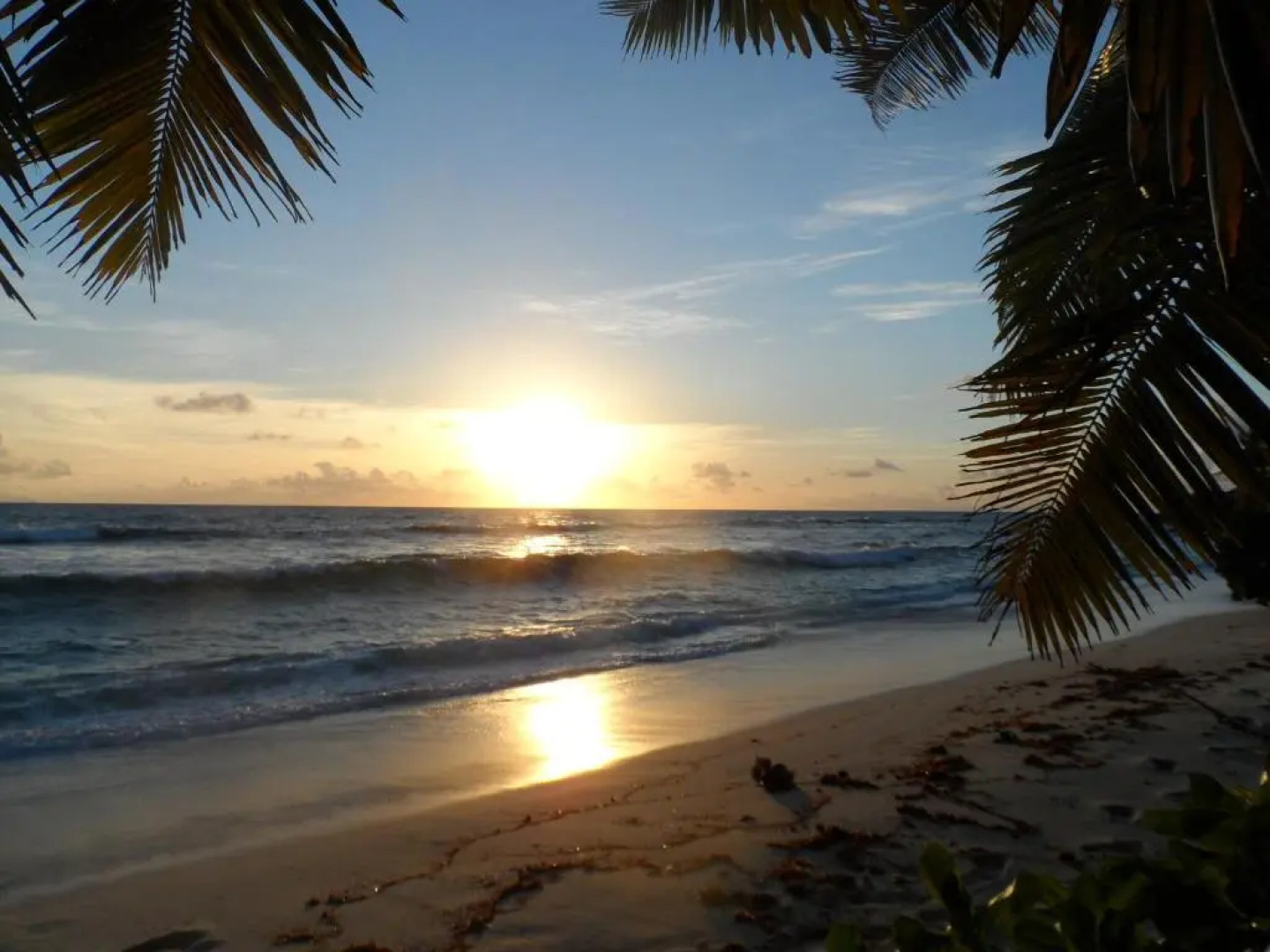 Anse Kerlan Beach Chalets