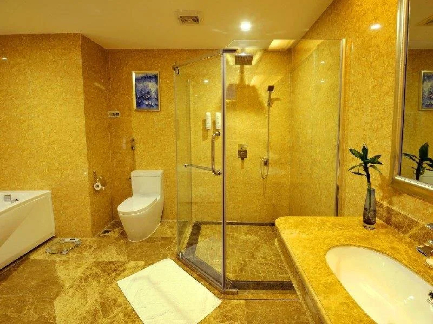 Jiahu International Hotel