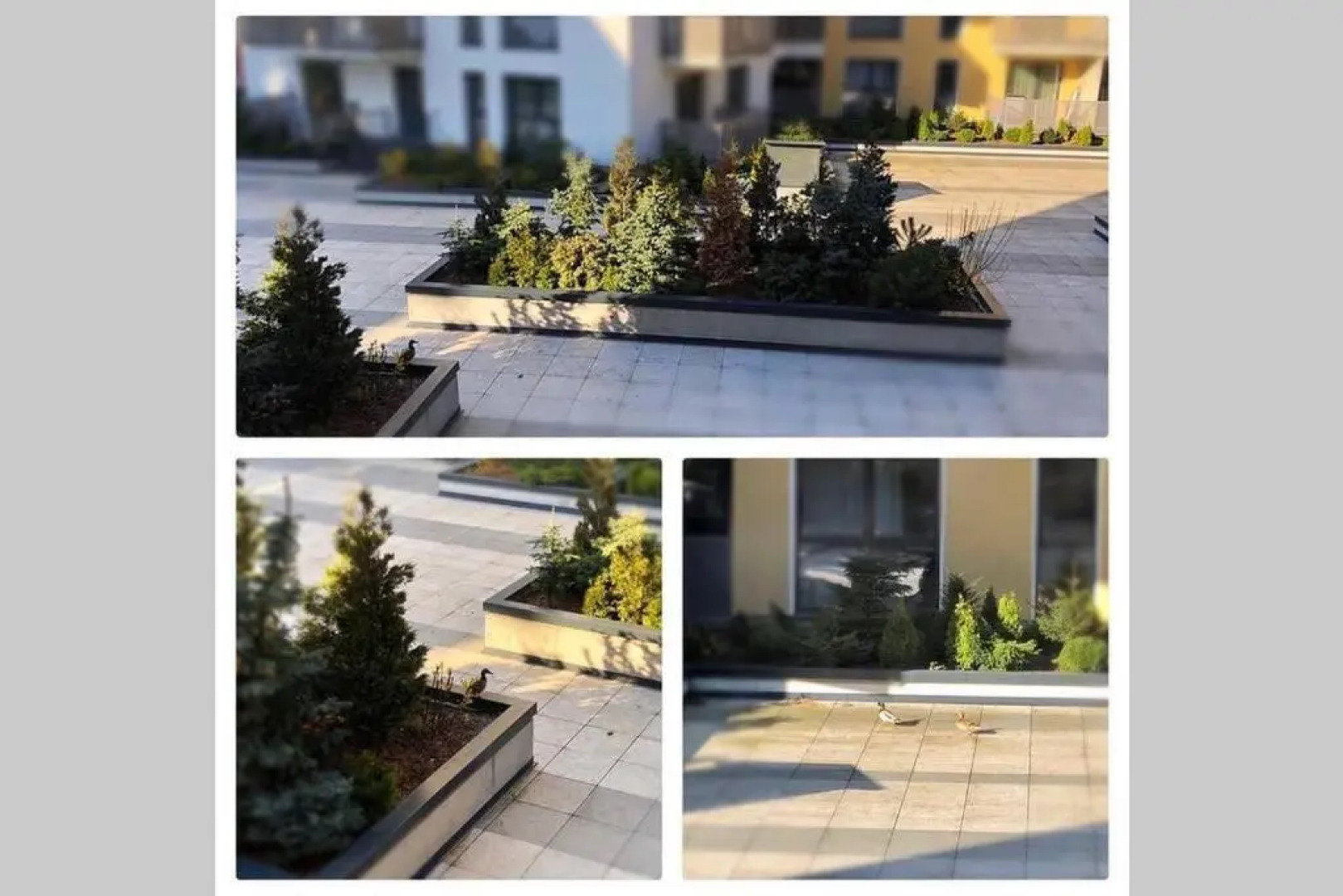 Central luxury apartment in Platinia Residence