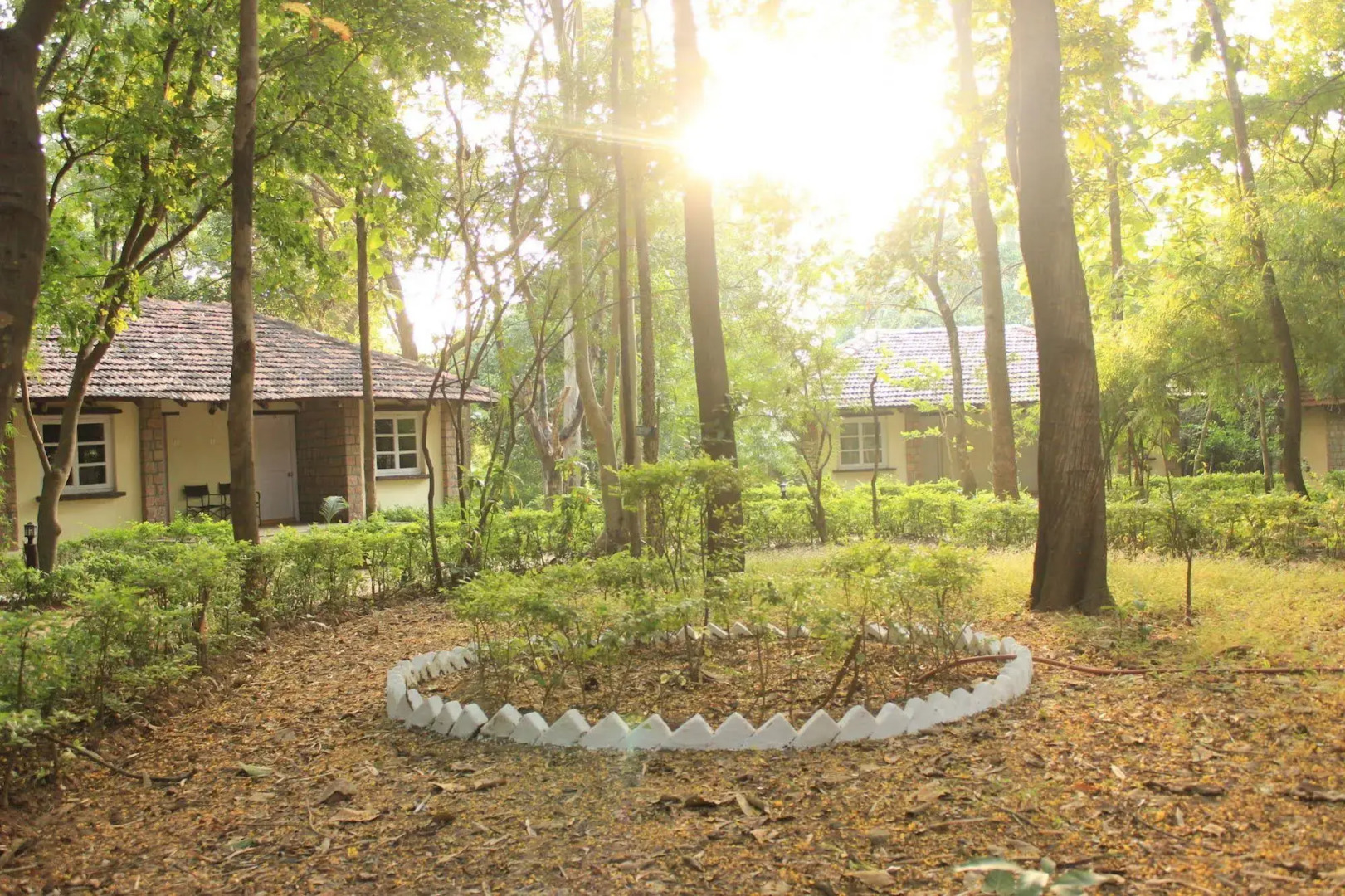 Tiger Trails Resorts