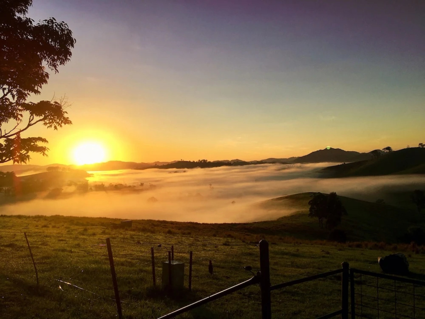 Dam It Getaway- Homestead