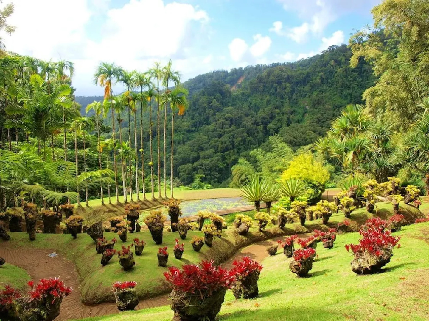 Studio in Fort-de-france, With Furnished Terrace and Wifi - 4 km From