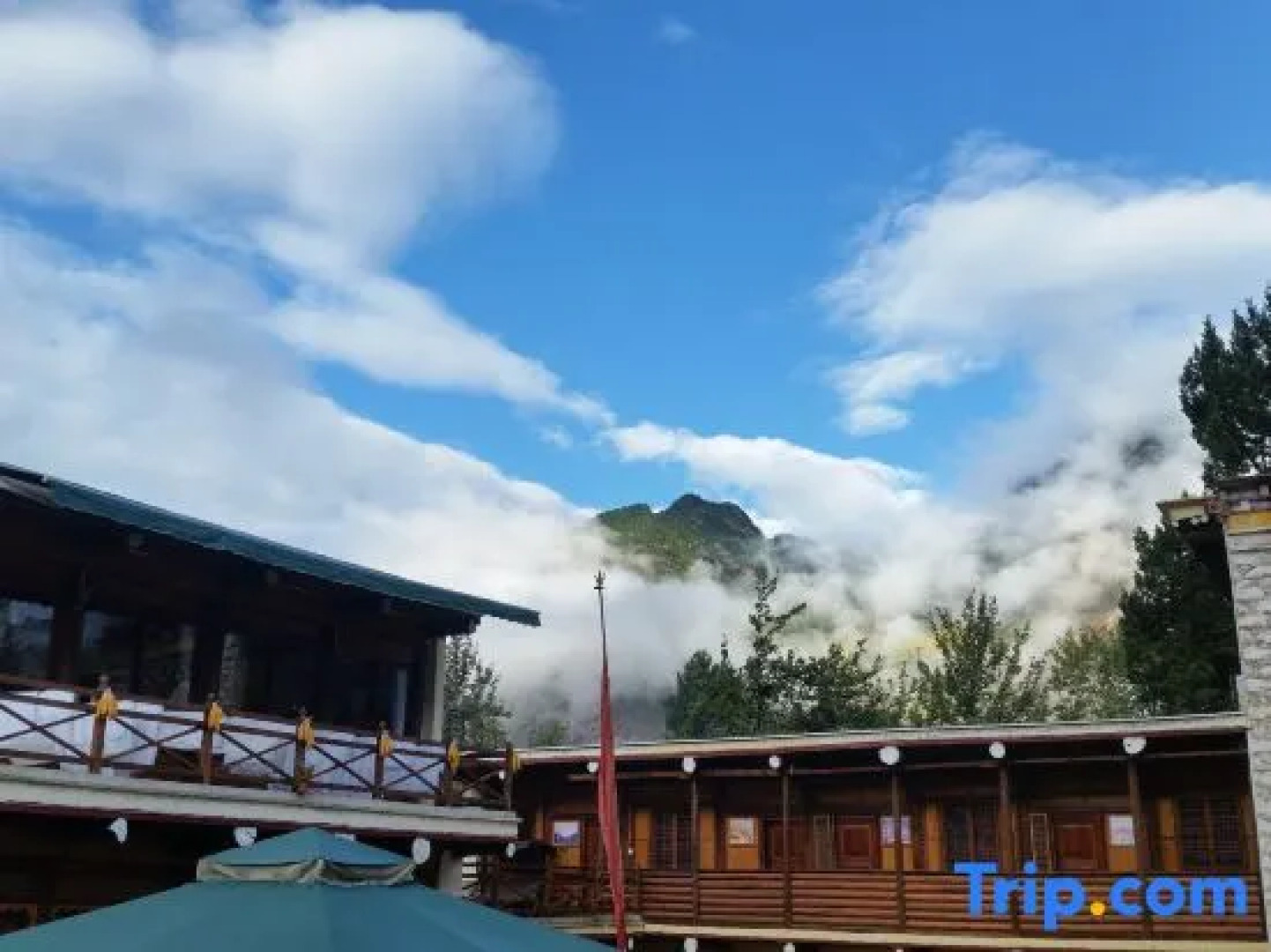 Dan valley of padang female 1 yard