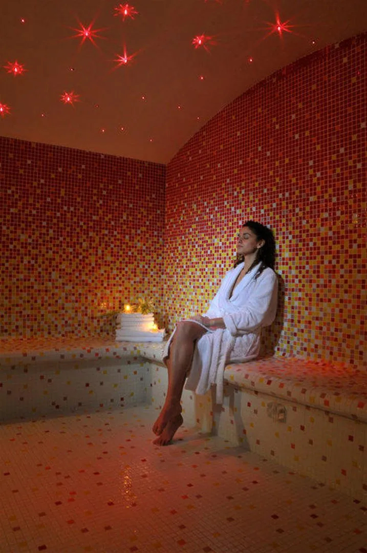 Palace Hotel & Spa Termas de São Vicente