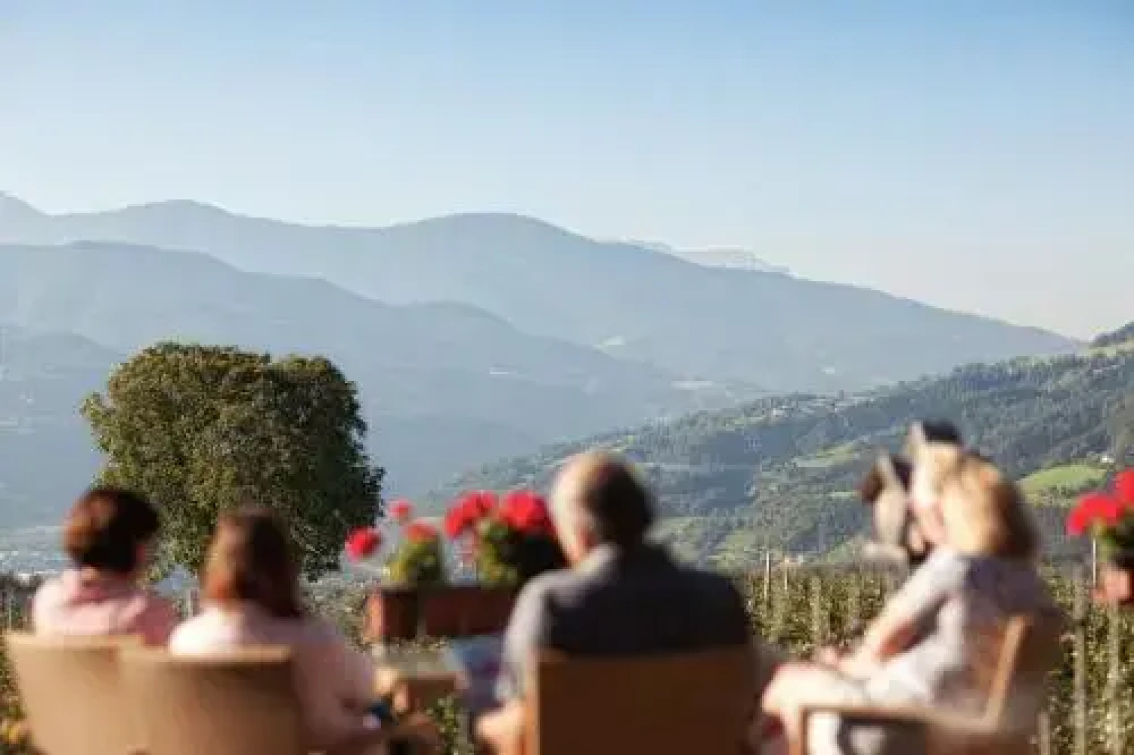 Tirolerhof Pension & Apartments