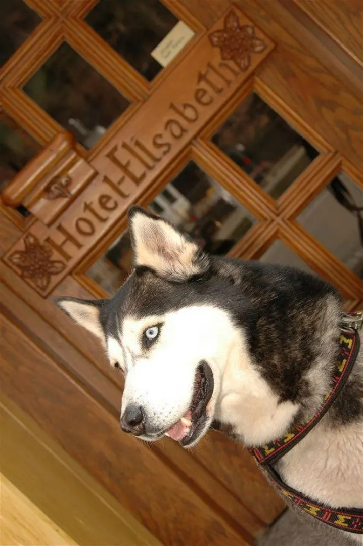 Wellness-Hotel Elisabeth