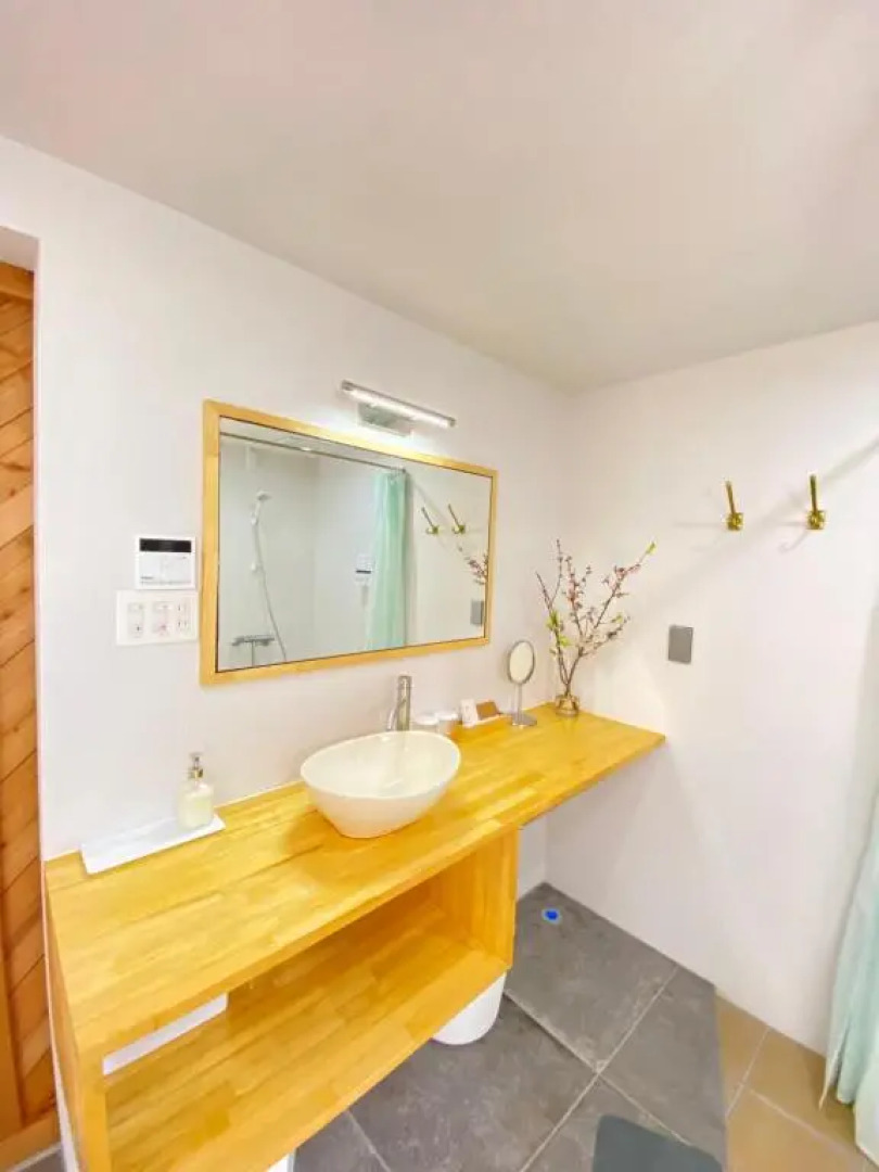 Hotel Little Swiss House